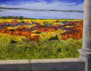 "West Coast Langebaan"