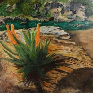 "Aloe Queen"