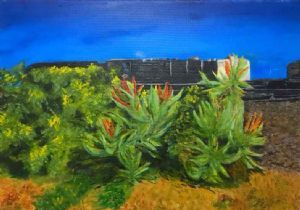 "Aloe Train"