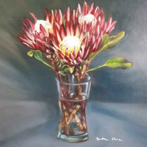 "Red Flame Proteas"