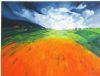 "Flourishing Country #3"