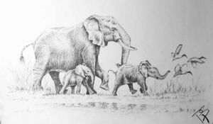 "The Elephant Family"