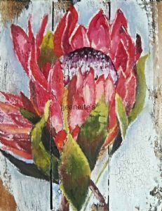 "Proteas"