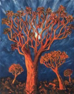 "Kokerboom Quiver Tree"