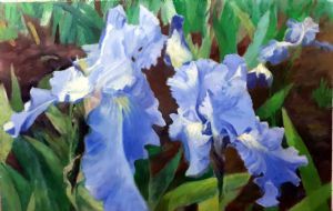 "Irises"