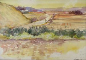 "Eastern Cape Farm "