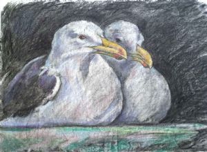 "Roosting Gulls"