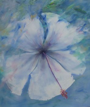 "Hibiscus"