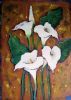 "Arum Lillies"