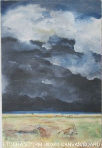 "Etosha Storm"