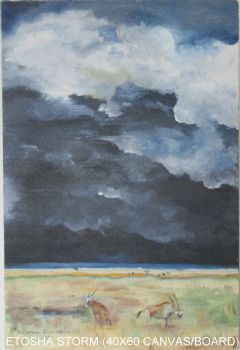 "Etosha Storm"