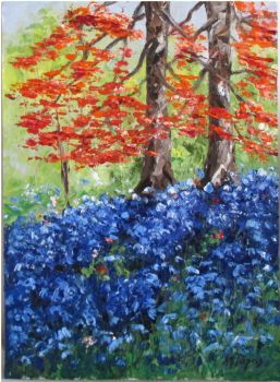 "A Carpet of Bluebells"