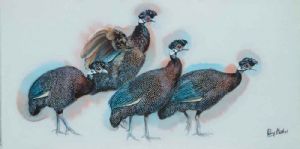 "Crested Guineafowl"
