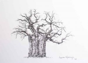 "Baobab Trio (1/3)"