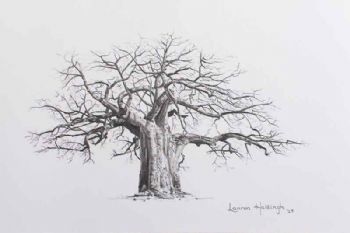 "Baobab Trio (2/3)"