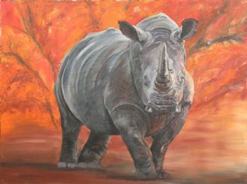 "Rhino"