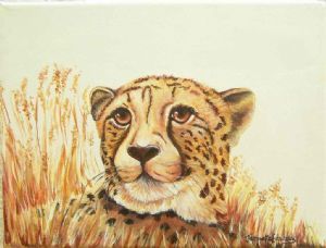 "Cheetah Resting MISSING/STOLEN?"