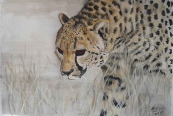 "Stalking Cheetah"