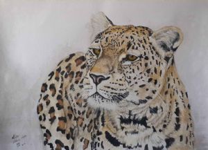 "Leopard: Sad Sack"