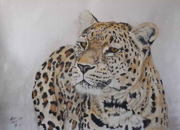 "Leopard: Sad Sack"