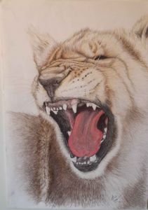 "Lion Cub: A Little Yawn"