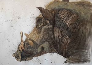 "Speckles The Warthog"