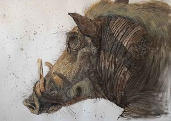 "Speckles The Warthog"