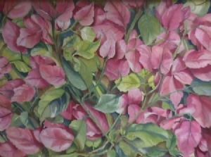 "Bougainvillea"