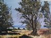 "Free State Landscape"