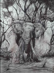 "Charging Elephant"