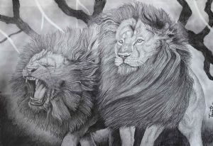 "Lion Couple"