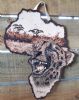 "Africa Cheetah"