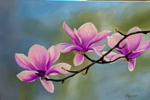 "Pink Magnolias"