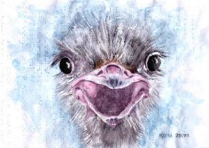 "Baby Ostrich"