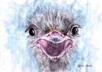 "Baby Ostrich"