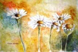 "Veld Daisies on Braille"