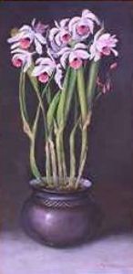 "Purple Orchid"