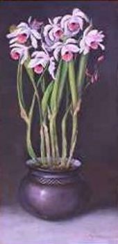 "Purple Orchid"