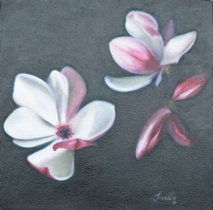 "Magnolia 1"