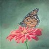 "Metamorph Orange"