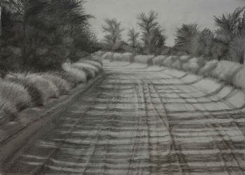 "Nossob Road, Kgalagadi"