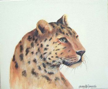 "Londolozi Leopard MISSING/STOLEN?"