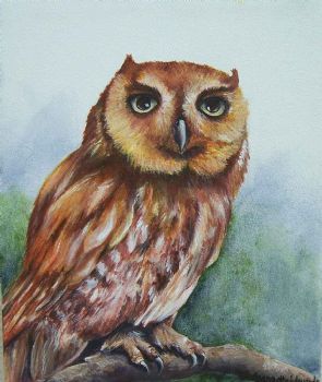 "Tawny Owl"