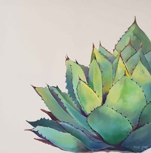 "Agave"