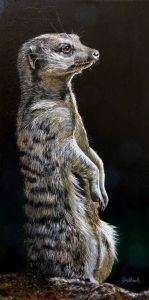 "Meerkat"