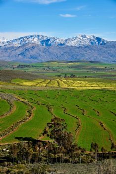 "Matroosberg with Snow, near Ceres"