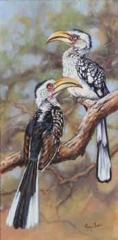 "Yellow-Billed Hornbills"
