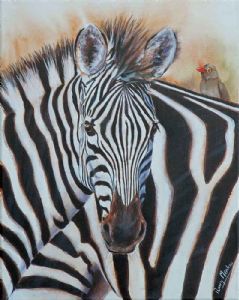 "Zebra with Oxpecker"