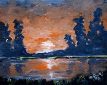 "Pantanal Wetland"