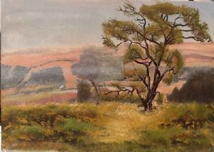 "Dullstroom Scene"